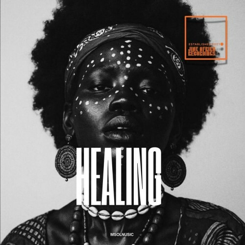  Msolnusic - Healing (2026) 