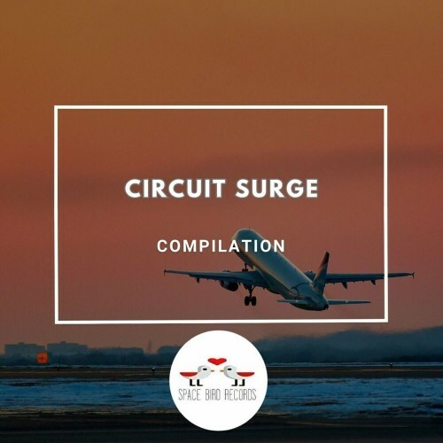  Chuxutris - Circuit Surge (2024) 