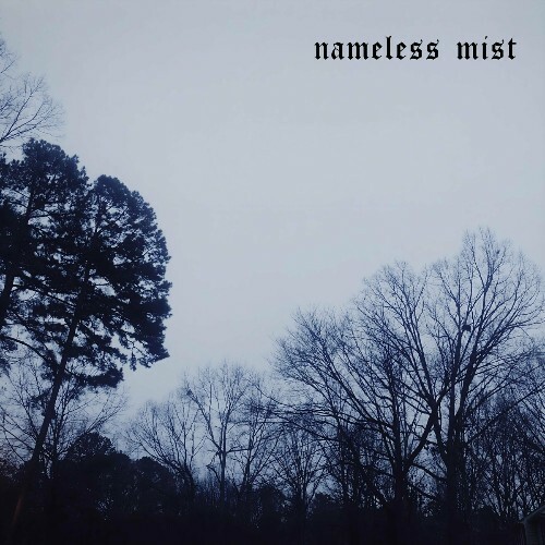  Nameless Mist - Lifeless (2023) 