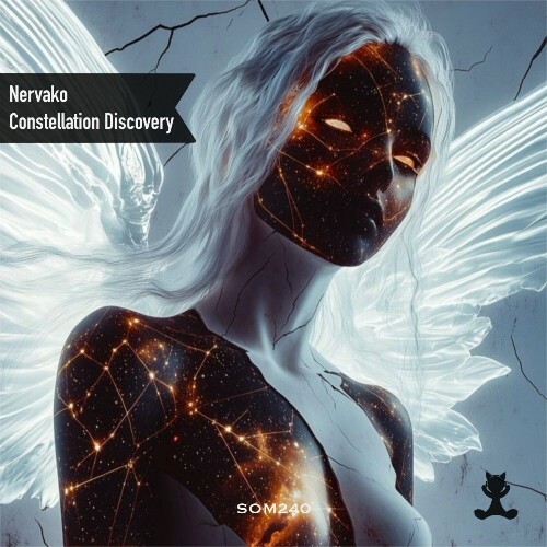  Nervako - Constellation Discovery (2025) 