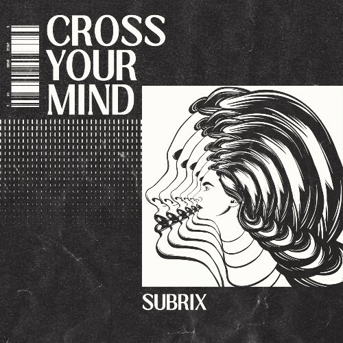  Subrix - Cross Your Mind (2024) 