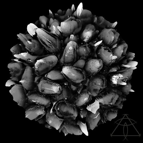  S+MPL - Obnoxious Memories (2026) 