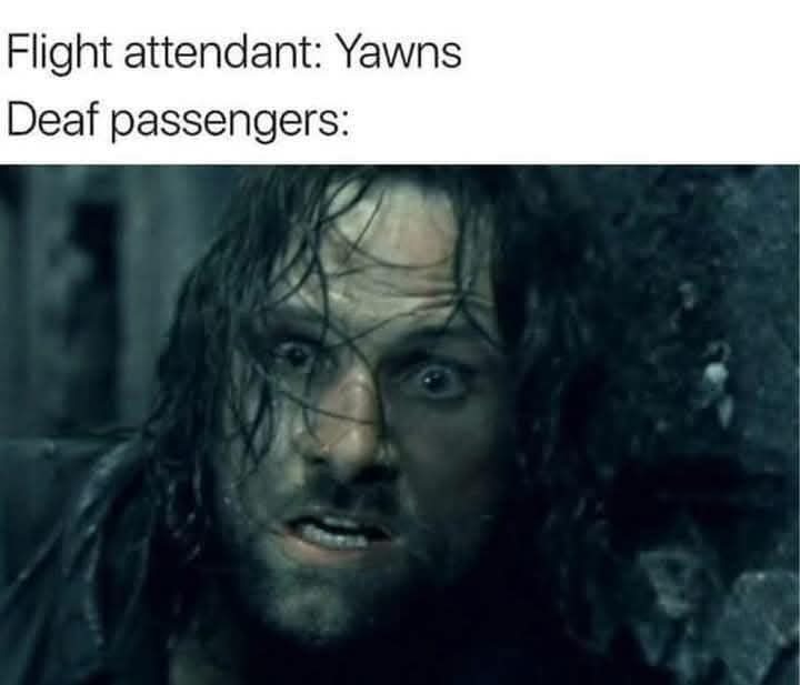 MEZH5VT_o.jpg