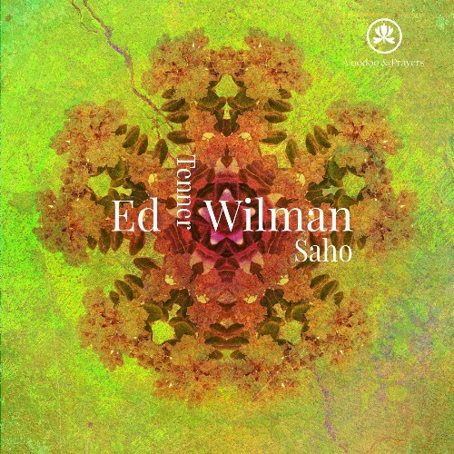  Ed Wilman - Saho (2026) 