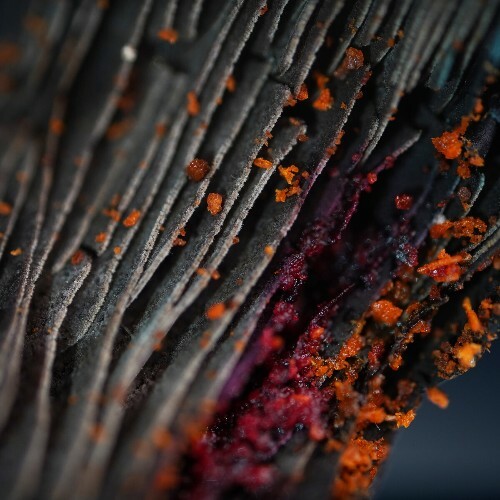 Not Operated — Biomorphic (2026)