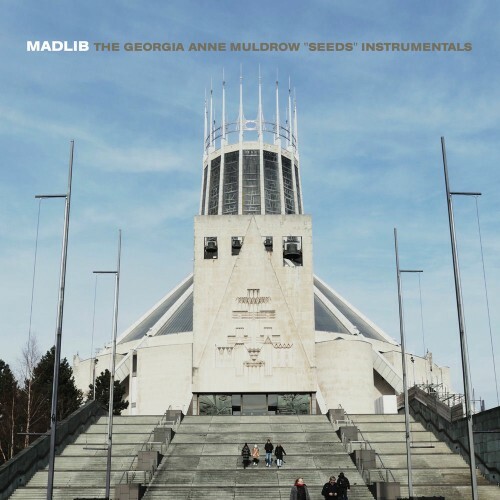 Madlib - Seeds (Instrumentals) (2025) Madlib - Seeds (Instrumentals) (2025)