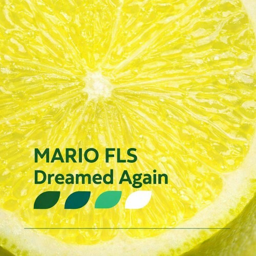 MARIO FLS — Dreamed Again (2026)