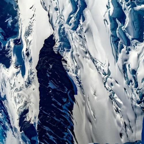  Cat Can Do - ALASKA II (2025) 