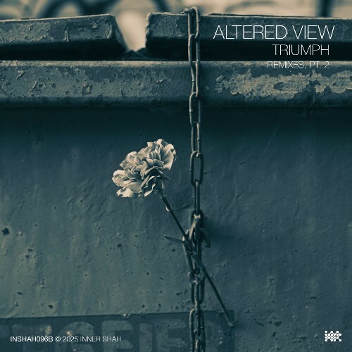  Altered View - Triumph: Remixes, Pt. 2 (2026) 