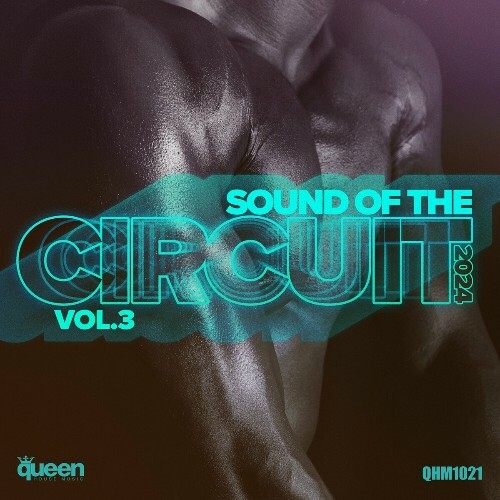  Sound of the Circuit 2024, Vol. 3 (2024) 