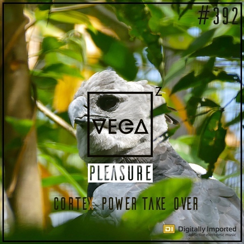  Vega Z - Pleasure 392 (2024-08-14) 