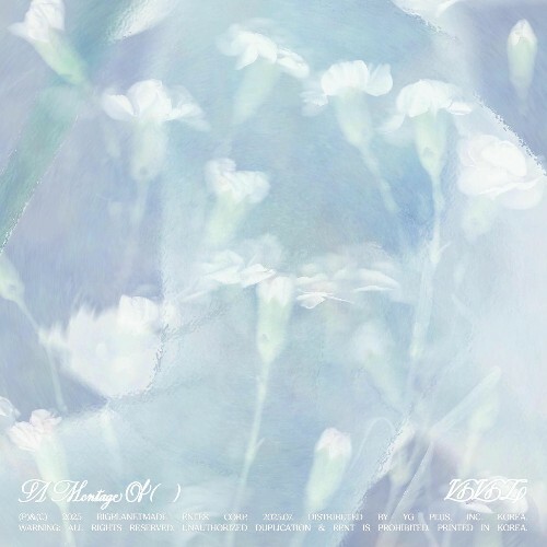  VIVIZ - A Montage Of ( ) (2025) 