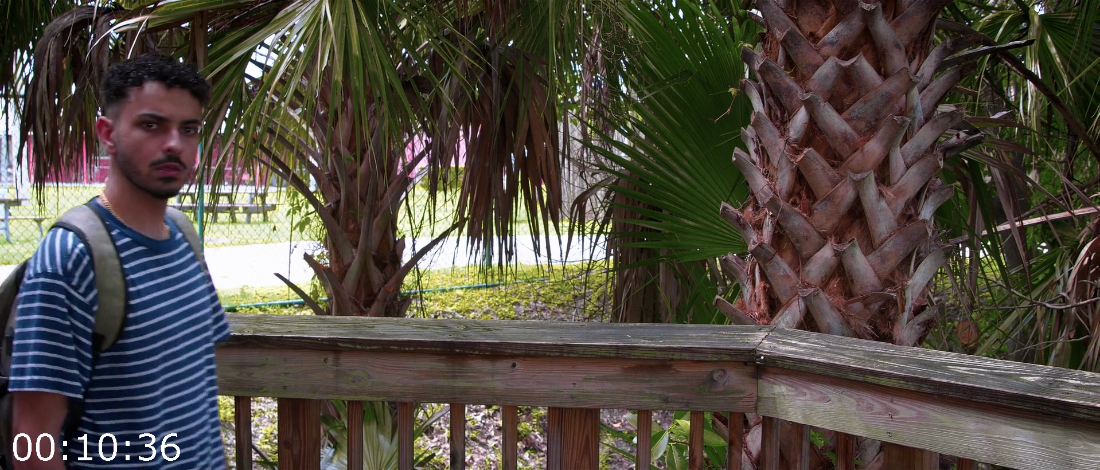 [Kép: ME1952W5_o.png]