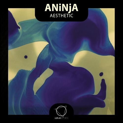 ANiNjA, Beatmool - Aesthetic (2026) 