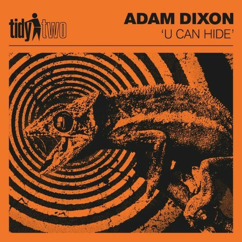  Adam Dixon - U Can Hide (2023) 