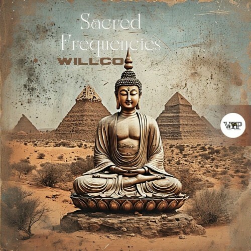  Willco - Sacred Frequencies (2025) 