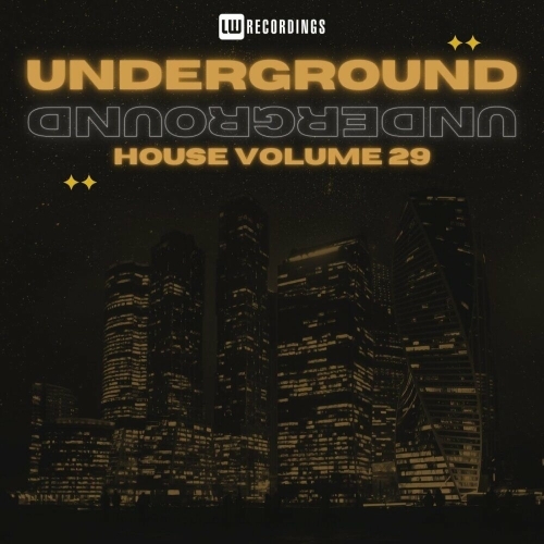  Underground House, Vol. 29 (2025) 