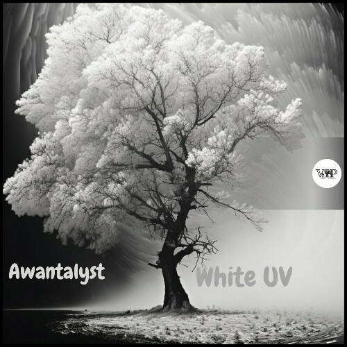 VA - Awantalyst - White UV (2024) (MP3)