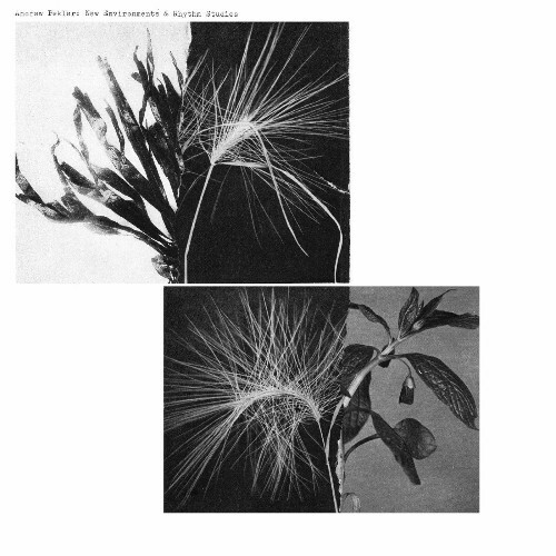  Andrew Pekler - New Environments & Rhythm Studies (2025) 