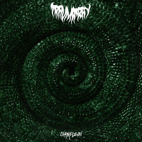  Trauma Ray - Chameleon (2024) 