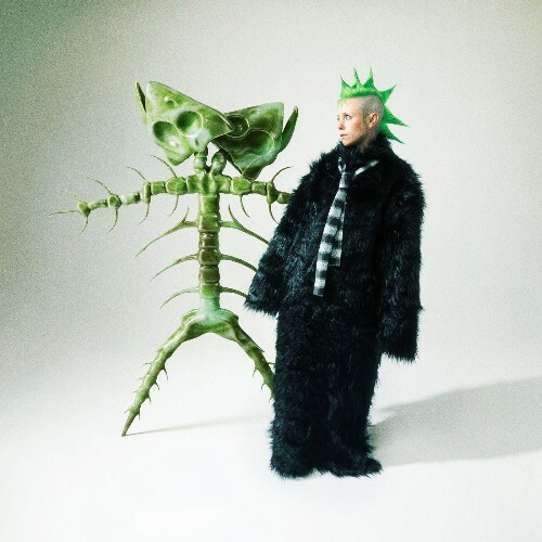  Catnapp - Biiig Stretch (2025) 