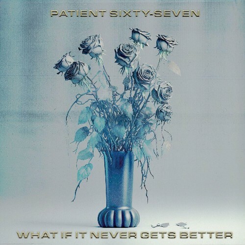  Patient Sixty-Seven - What If It Never Gets Better (2024) 