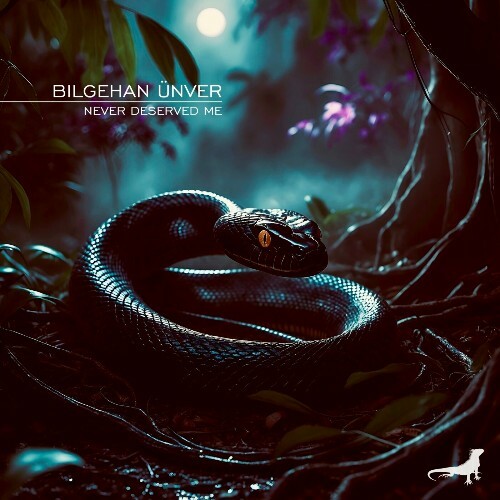  Bilgehan &#220;nver - Never Deserved Me (2025) 