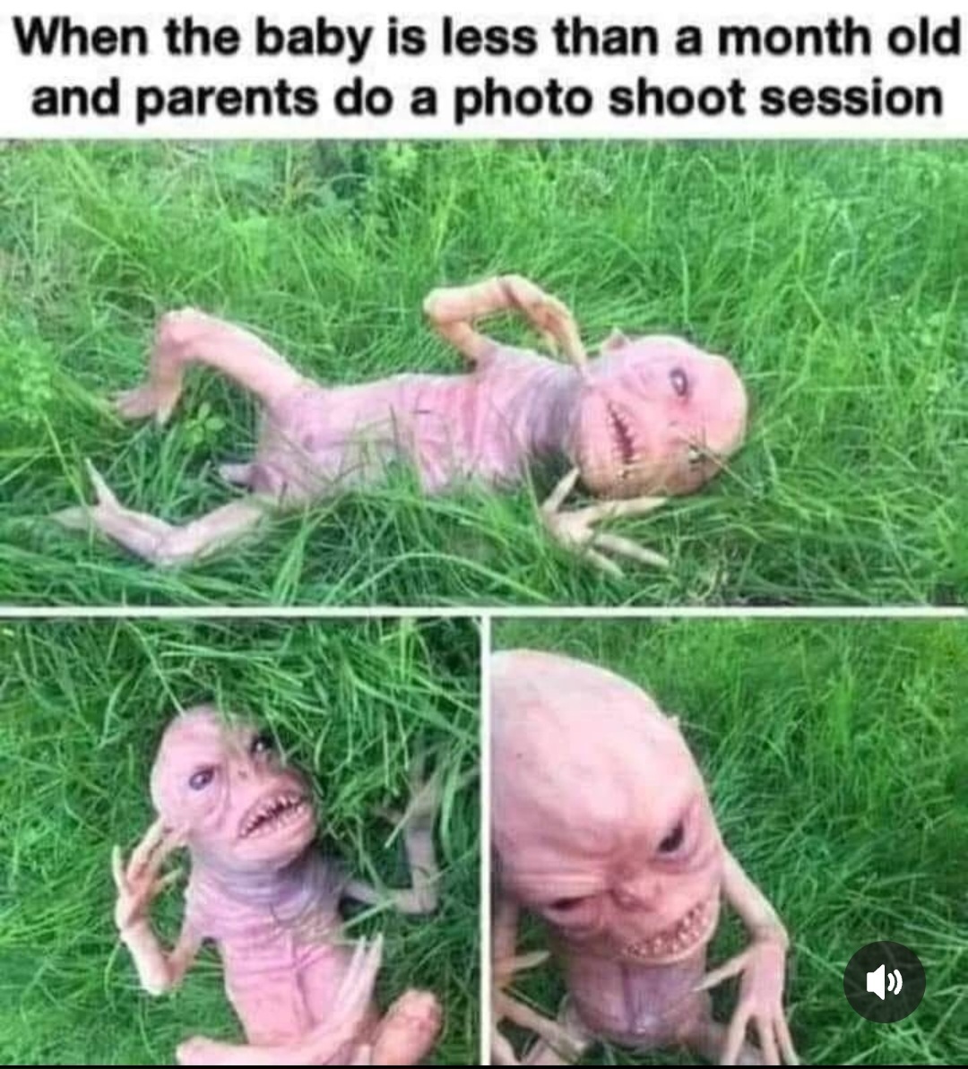 MEQAOPA_o.jpg