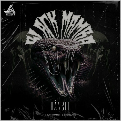  HANSEL (Col) - Black Mamba (2025) 