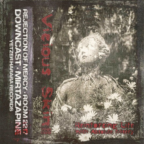  Vicious Skin - Reinforcing Life With Absolute Misery (2025) 