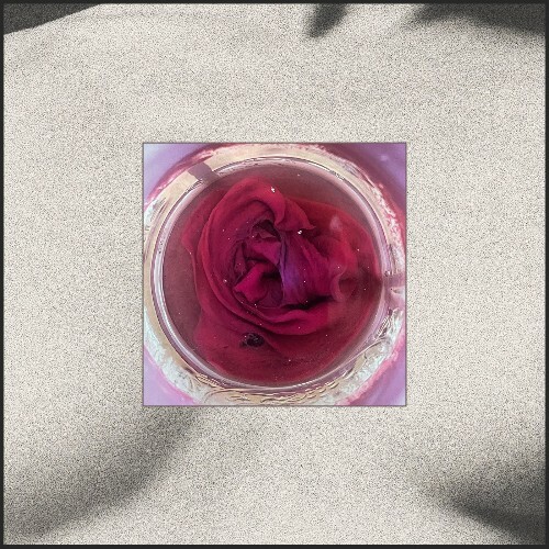  Leon Vynehall - Undo (Your Body) (2025) 