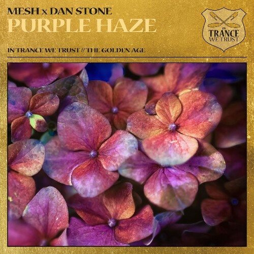Mesh X Dan Stone - Purple Haze (2026) Mesh X Dan Stone - Purple Haze (2026)