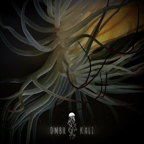  DMBR - Kali (2024) 