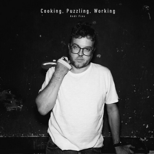  Andi Fins - Cooking, Puzzling, Working (2025) 