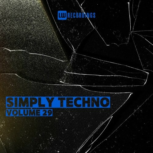  Simply Techno, Vol. 29 (2025) 