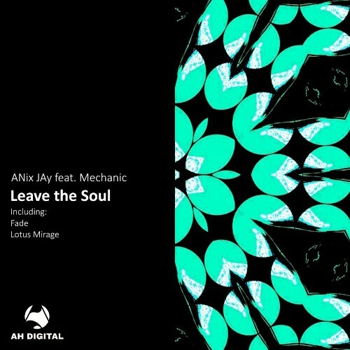  ANix JAy - Leave the Soul (2025) 