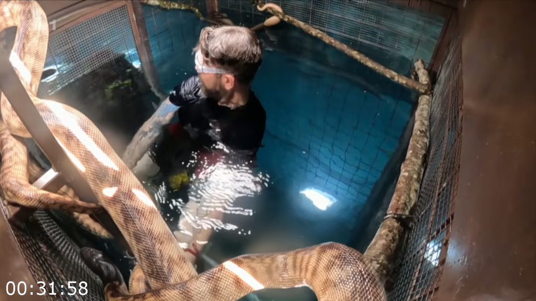 [Image: ME182SYX_o.png]