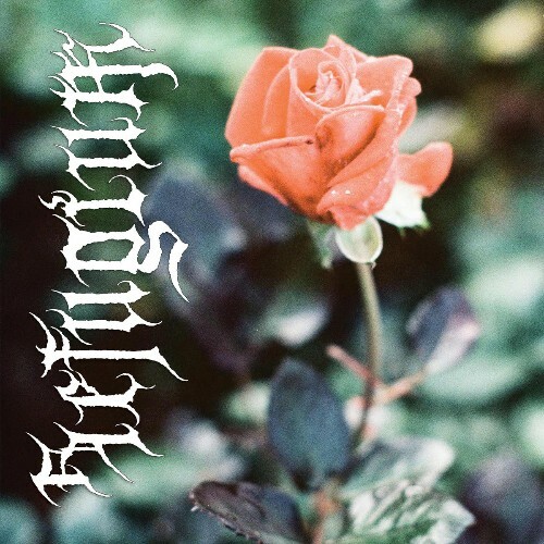  Refugium - In Hope of Eternal Life (2026) 