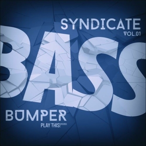  Bass Bumper Syndicate, Vol.01 (2025) 