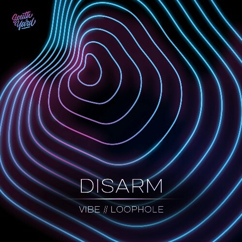 Disarm (dnb) - Vibe / Loophole (2024)