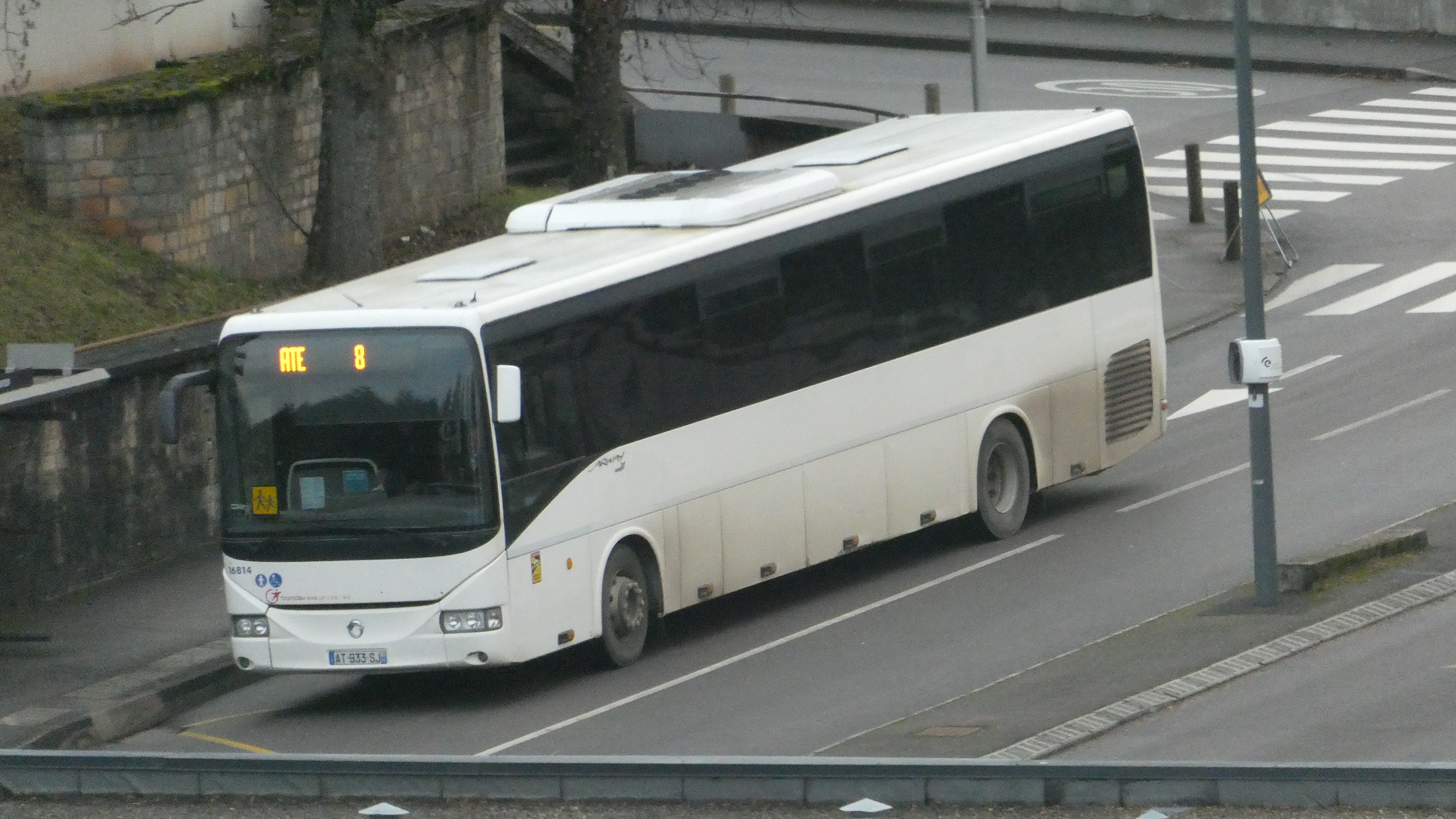 P1410521.JPG
