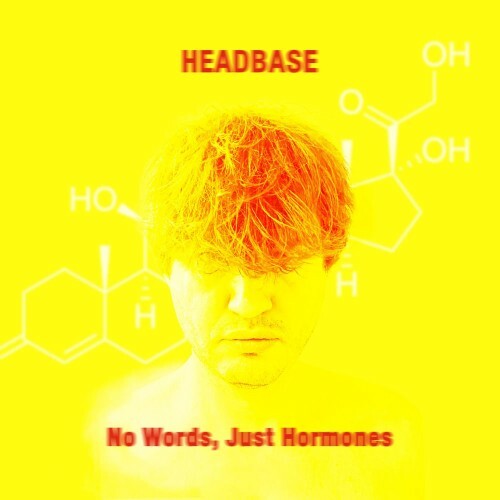  Headbase - No Words, Just Hormones (2026) 