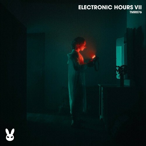 Electronic Hours VII (2024)