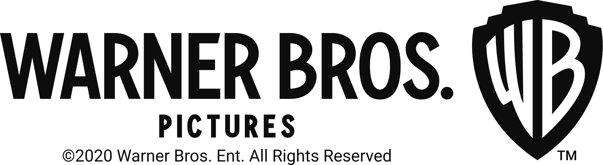 Warner_Bros_Pictures_2020_logo.png