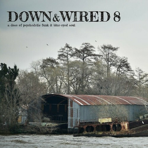  Down & Wired 8 (2024) 