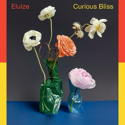  Eluize - Curious Bliss (2024) 
