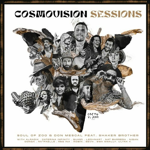  Cosmovision Sessions CMVR 028 (2023) 