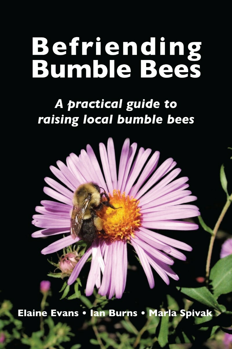 Befriending Bumble Bees A Practical Guide To Raising Local Bumble Bees (Elaine Evans) Befriending Bumble Bees A Practical Guide To Raising Local Bumble Bees (Elaine Evans)