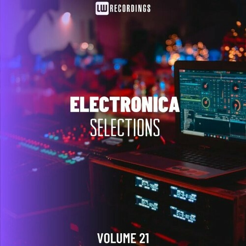  Electronica Selections, Vol. 21 (2024) 