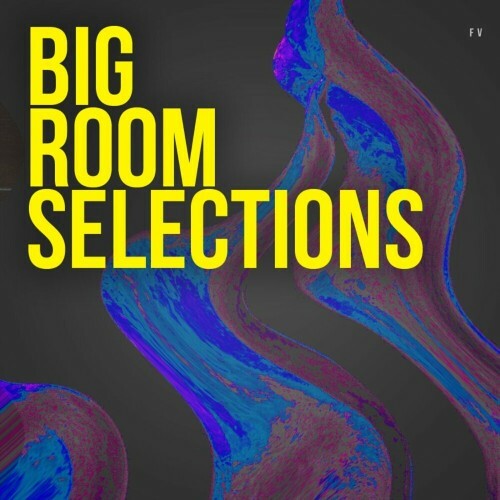 Big Room Selections FV097 (2024)